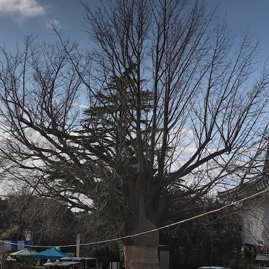 0104e.jpg