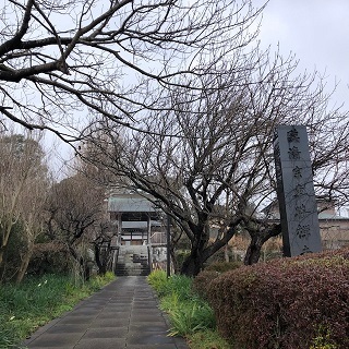0115a.jpg
