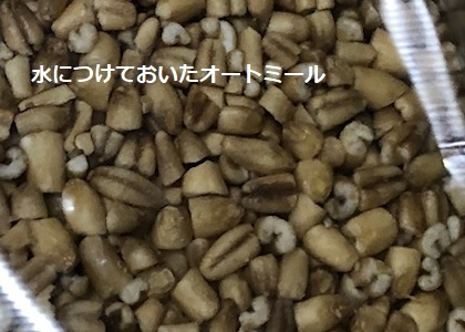 0302d.jpg