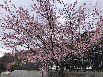 0305b.jpg