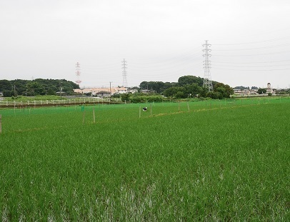 0713d.jpg