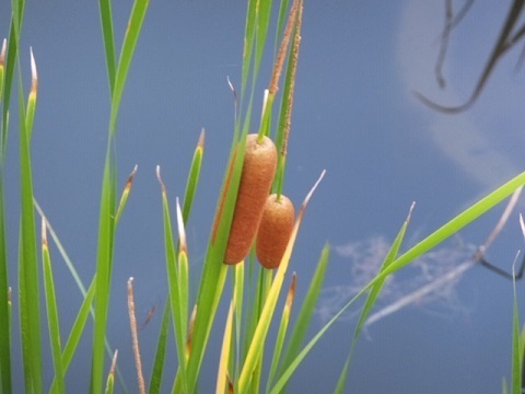 0809b.jpg