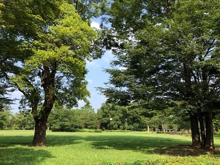 0818a.jpg
