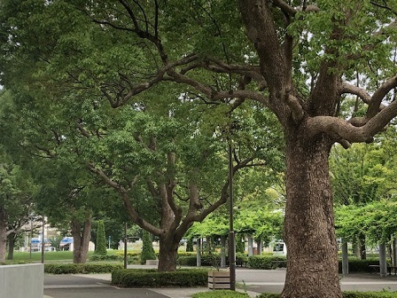 0819b.jpg