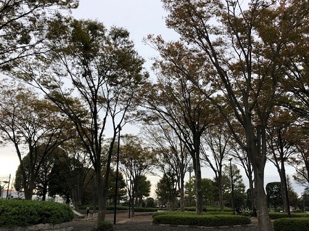 1027aa.jpg