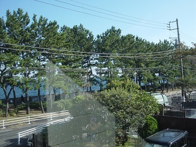 1104saijo.jpg