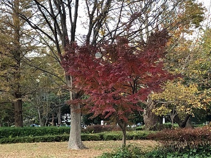 1207a.jpg