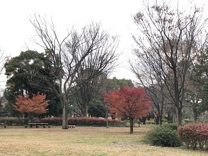 1210a.jpg