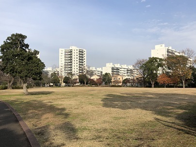 1211a.jpg