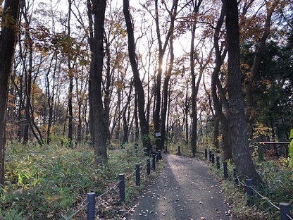 1220.jpg