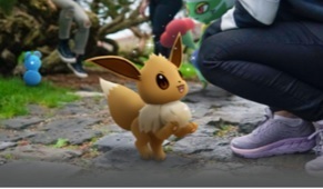12poke2.jpg
