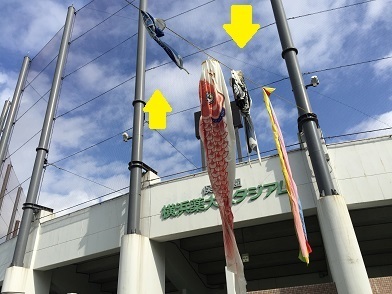 17koinobori1.jpg