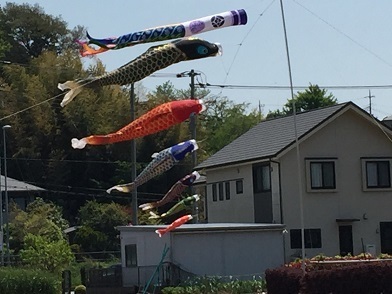 17koinobori2.jpg