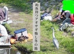 miyahaiku.jpg