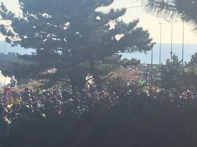shonan3.jpg