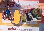 shonan6b.jpg