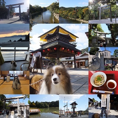 tokai1.jpg