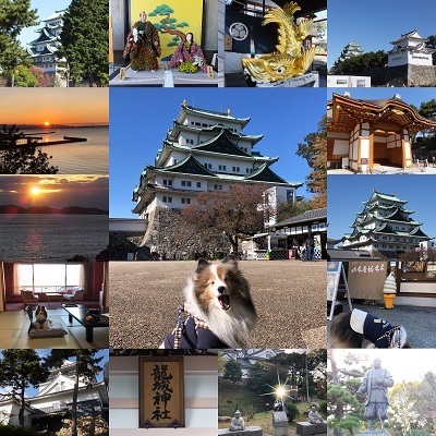 tokai2.jpg