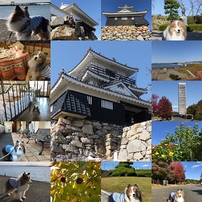 tokai3.jpg