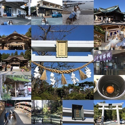 tokai4.jpg